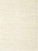 McKenna Tussah P. Kaufmann Fabric 